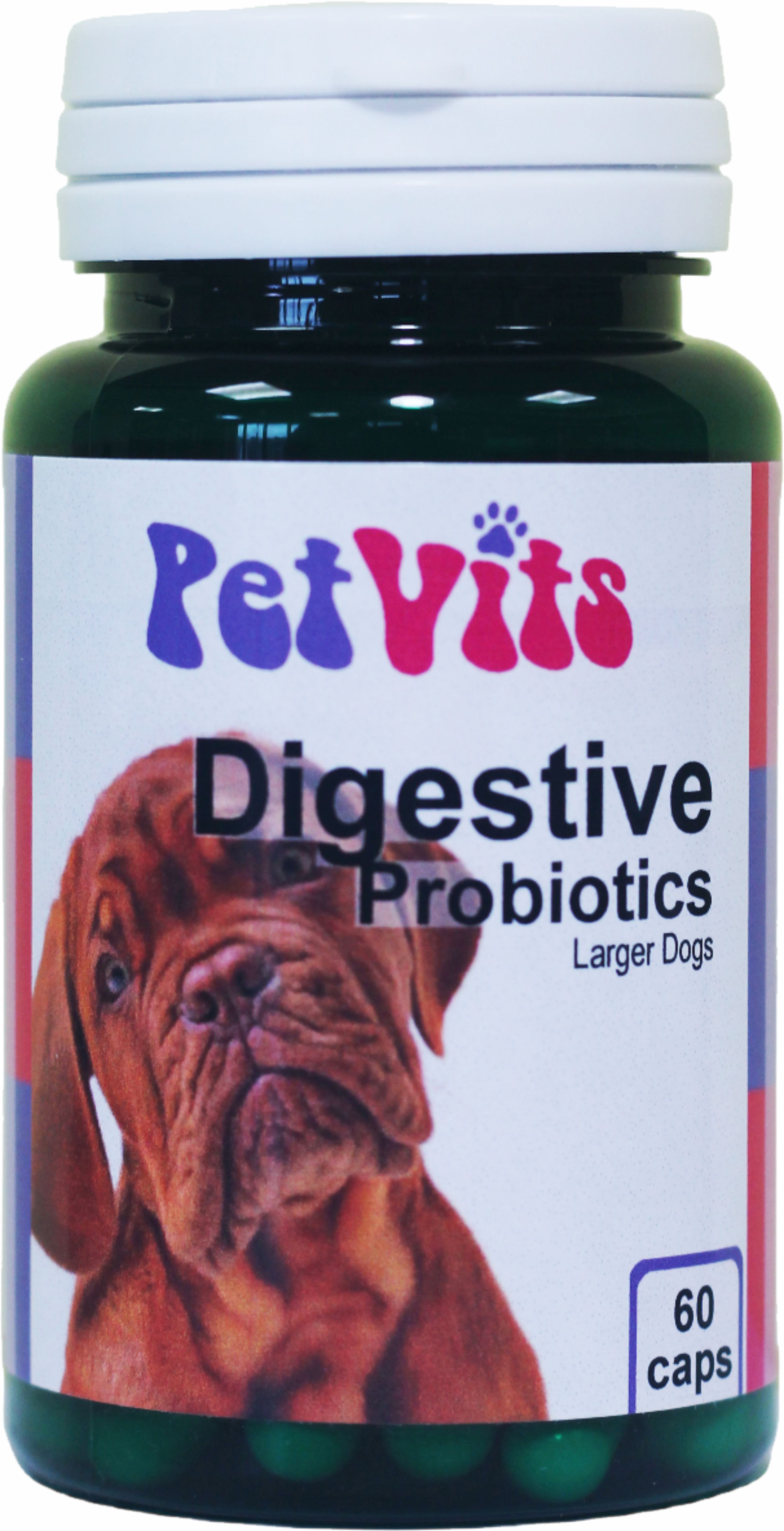 Health + Plus Ltd > PetVits > Digestive Probiotics for Larger Dogs An